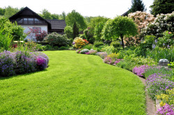 Aménagement de jardin à Cestas