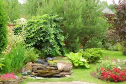 Entretien de jardin à Mérignac